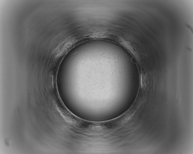 X0000102270205200808011435