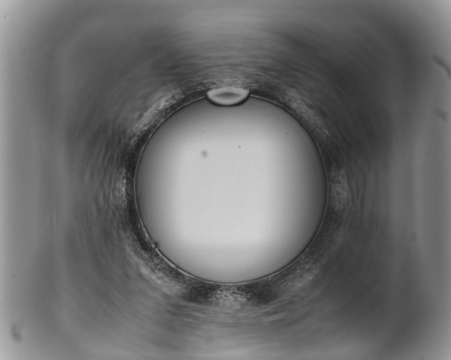 X0000102270207200808011435
