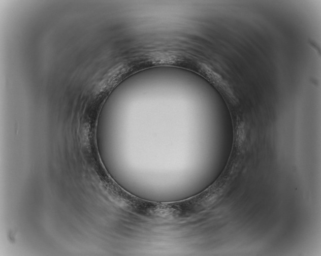 X0000102270209200808011435