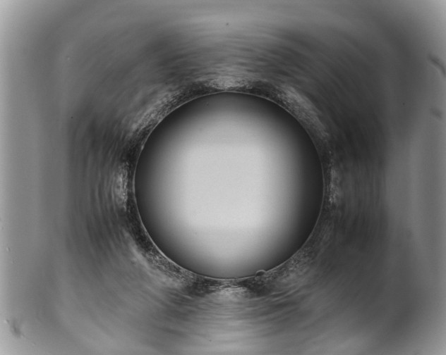 X0000102270210200808011435