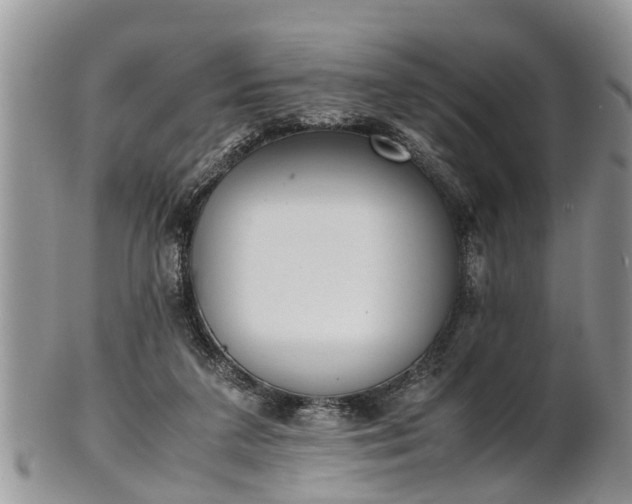 X0000102270211200808011435