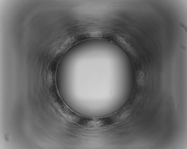 X0000102270213200808011435