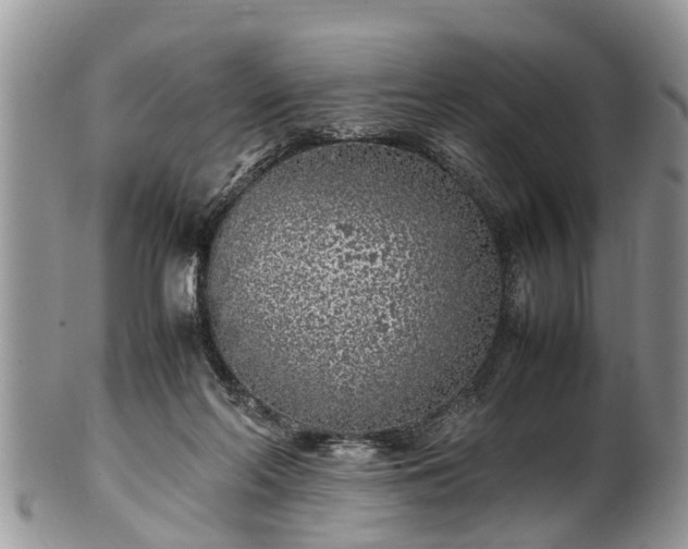 X0000102270214200808011435