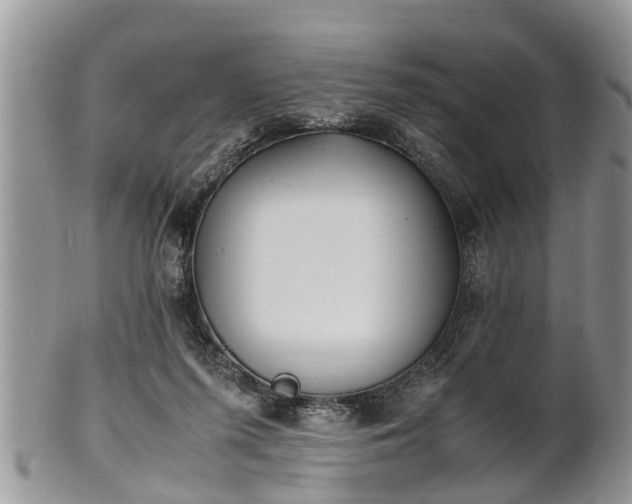 X0000102270215200808011435