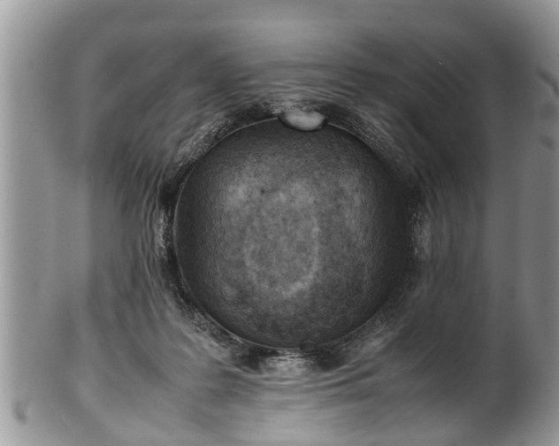 X0000102270219200808011435