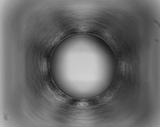 X0000102270220200808011435