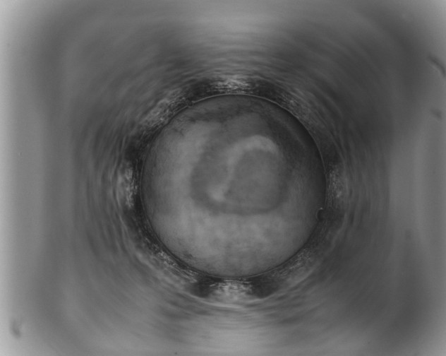 X0000102270223200808011435
