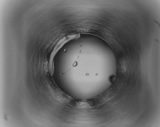 X0000102270224200808011435