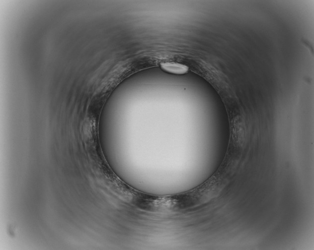 X0000102270225200808011435
