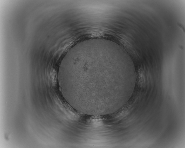 X0000102270228200808011435