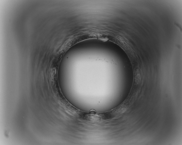 X0000102270229200808011435
