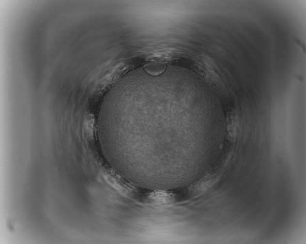 X0000102270231200808011435