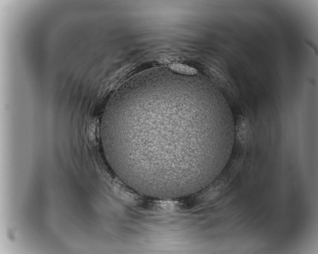 X0000102270233200808011435