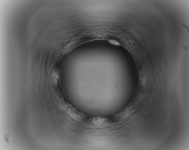 X0000102270235200808011435