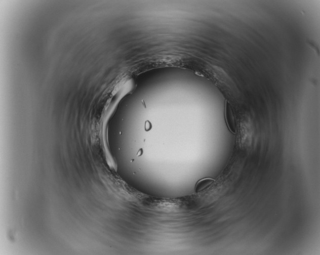 X0000102270236200808011435