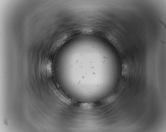 X0000102270238200808011435