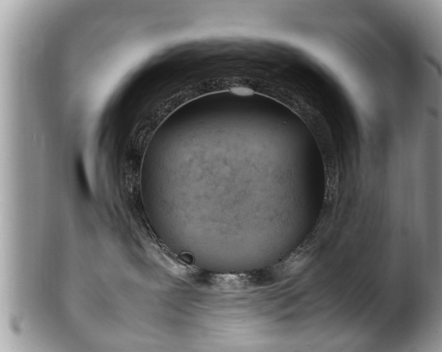 X0000102270239200808011435