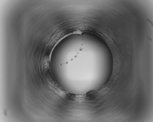 X0000102270240200808011435
