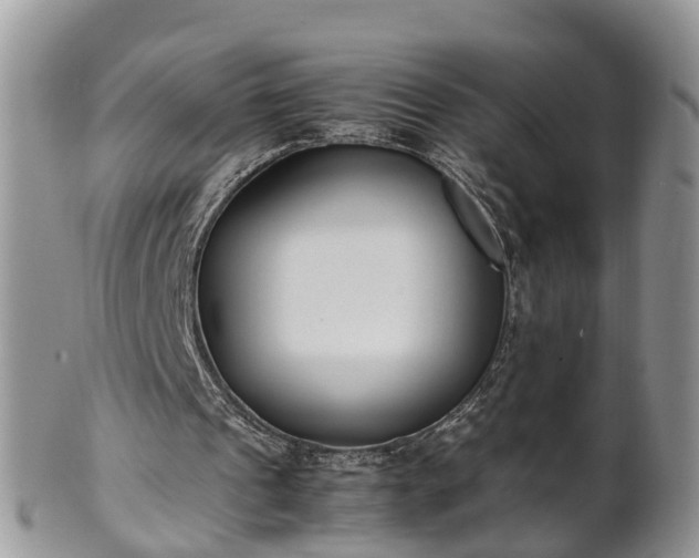 X0000102270241200808011434