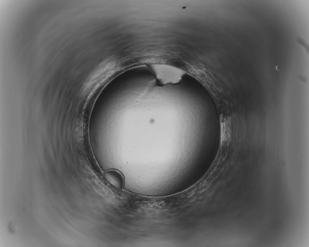 X0000102270243200808011434