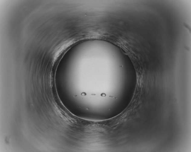 X0000102270244200808011434