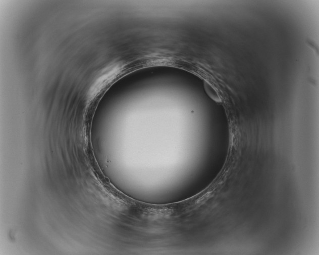 X0000102270245200808011434