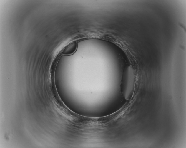 X0000102270246200808011434