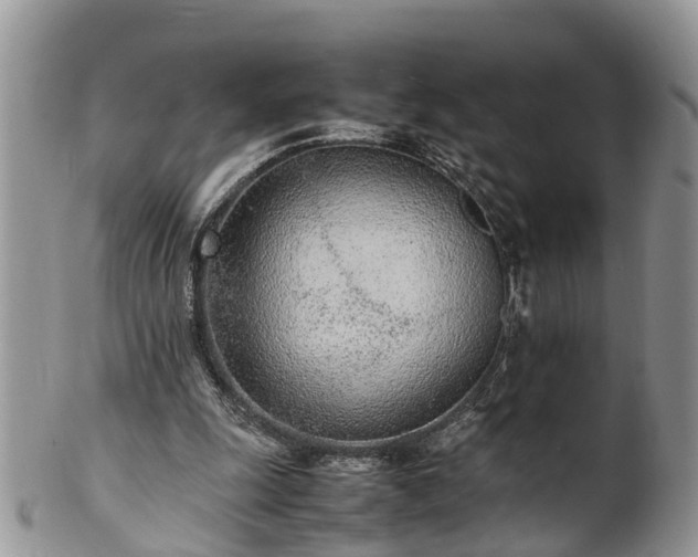 X0000102270247200808011434