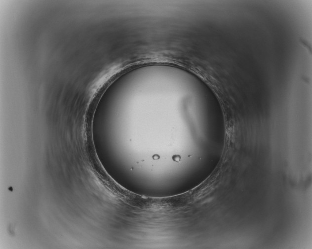 X0000102270248200808011434