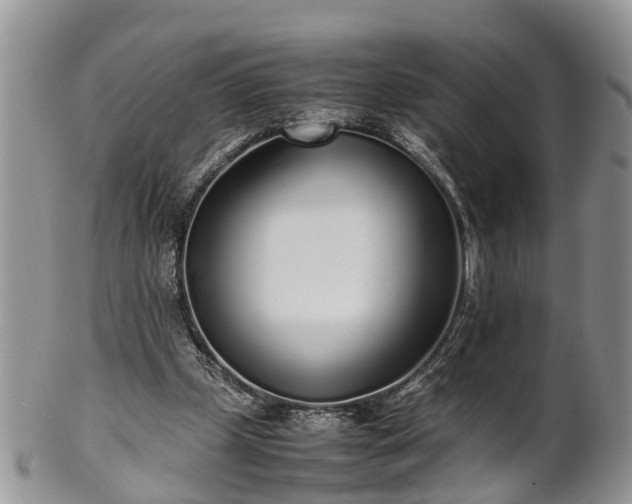 X0000102270249200808011434