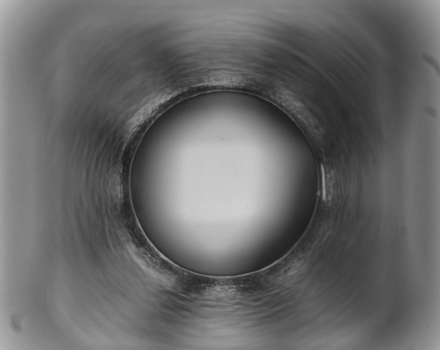 X0000102270252200808011434