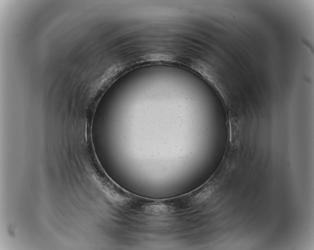 X0000102270253200808011434