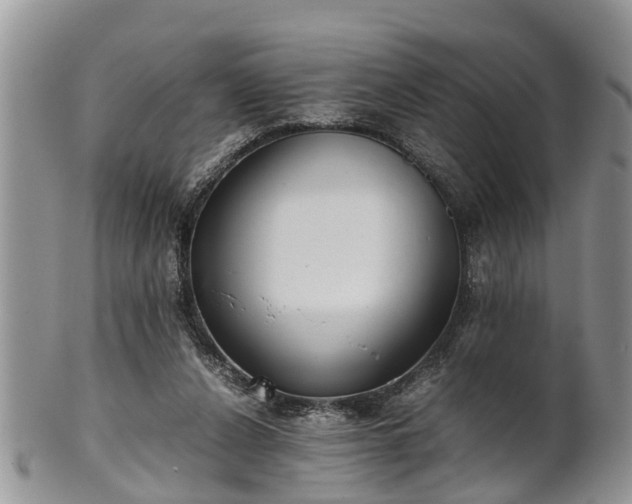 X0000102270256200808011434