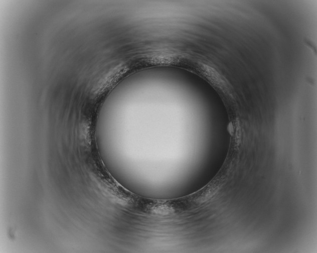X0000102270258200808011434