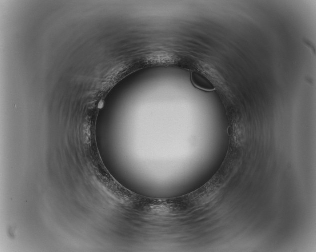 X0000102270259200808011434