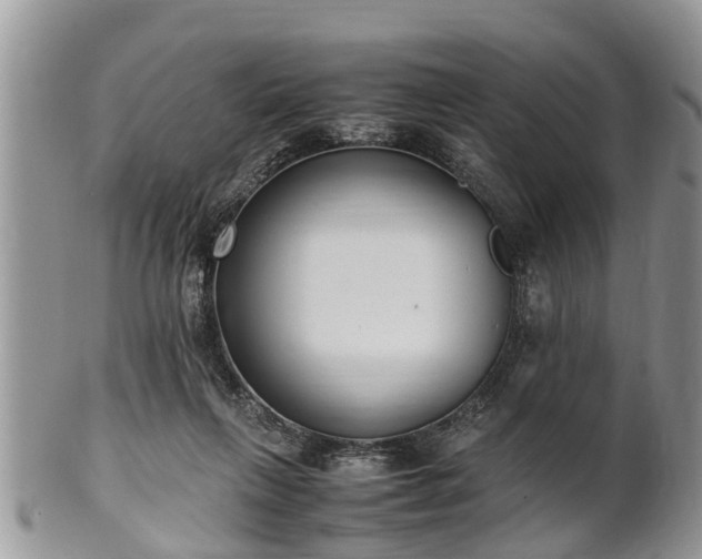 X0000102270263200808011434