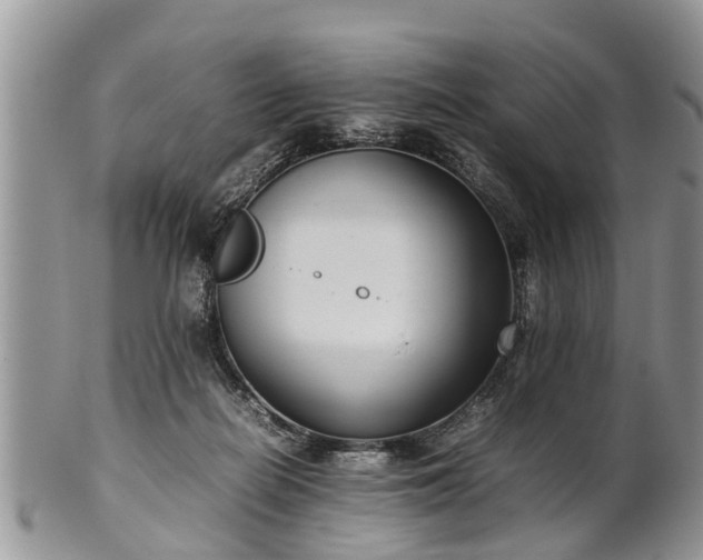 X0000102270266200808011434