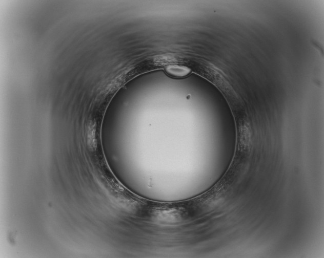 X0000102270267200808011434