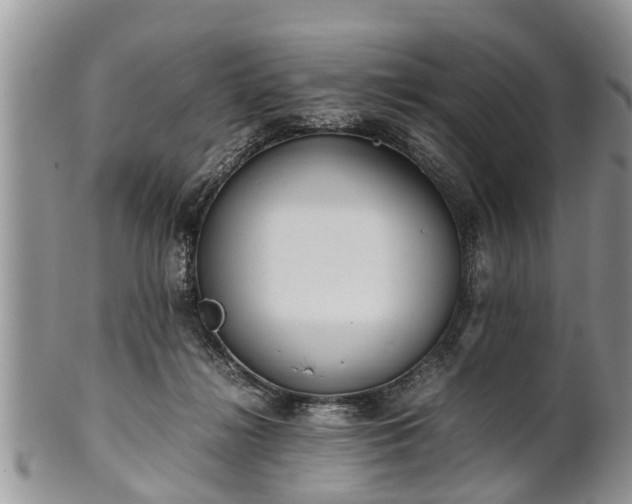 X0000102270268200808011434