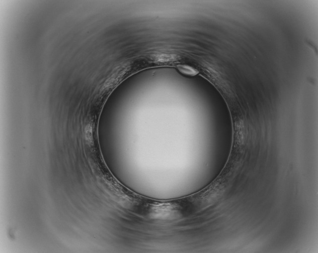 X0000102270269200808011434
