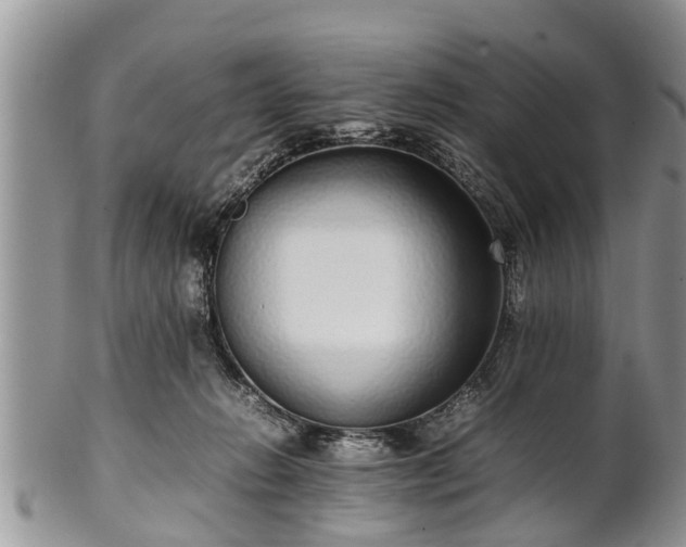 X0000102270270200808011434