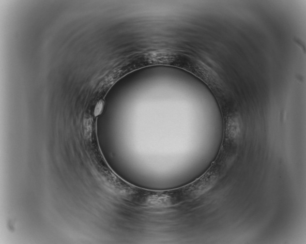 X0000102270271200808011434