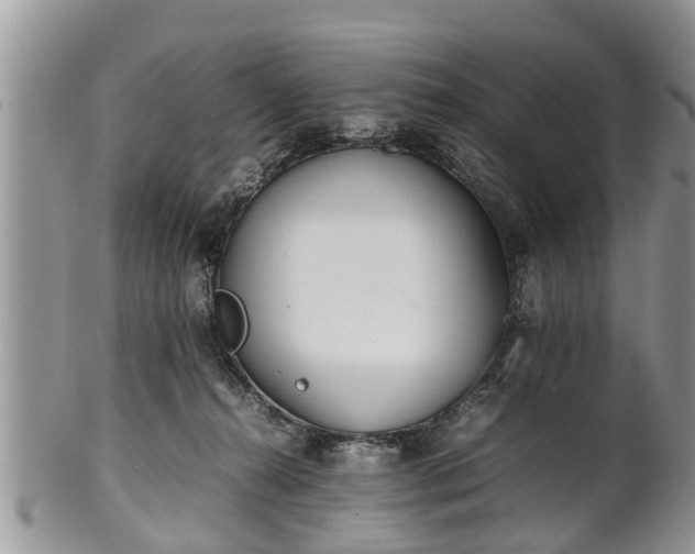 X0000102270272200808011434