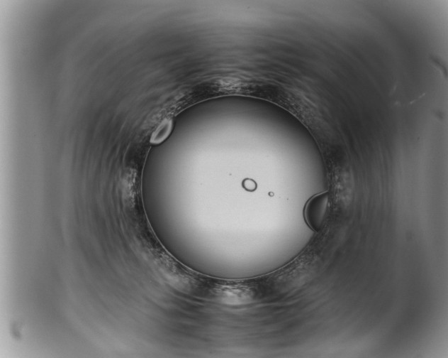 X0000102270275200808011434
