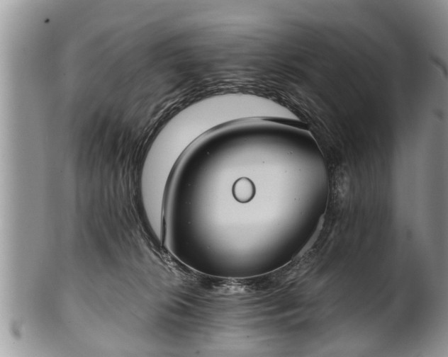 X0000102270276200808011434