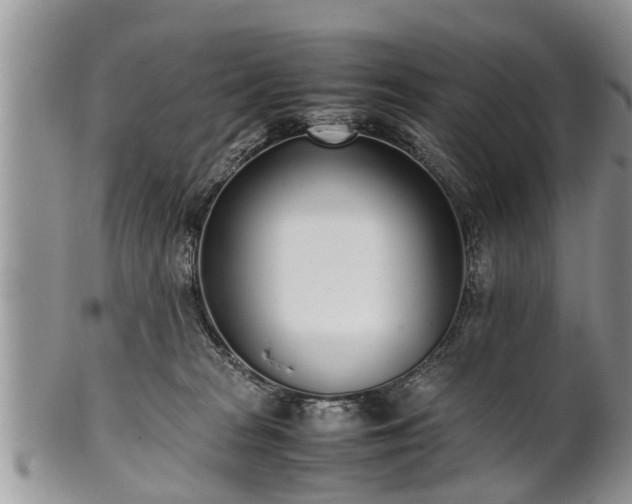 X0000102270277200808011434