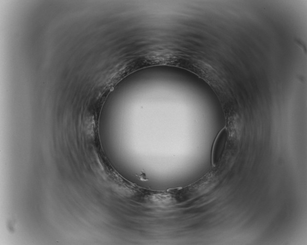 X0000102270279200808011434
