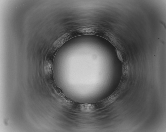 X0000102270281200808011434