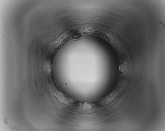 X0000102270282200808011434