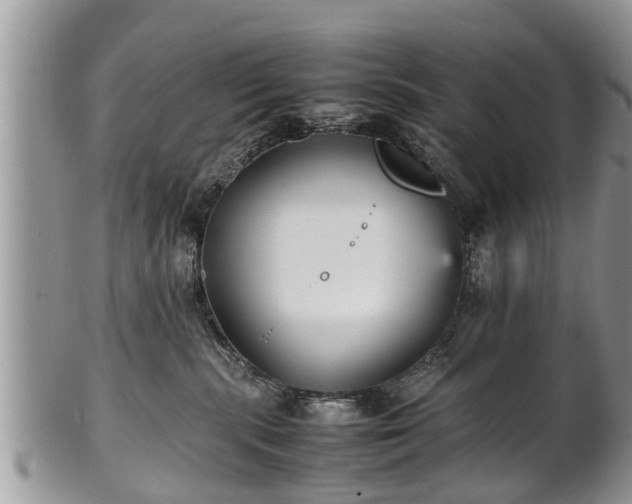 X0000102270283200808011434
